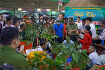 Phiên chợ sâm Ngọc Linh ở Quảng Nam (ảnh CTV)