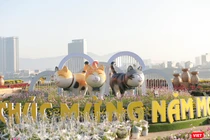 Thời tiết các vùng trong dịp Tết Quý Mão 2023 ra sao?