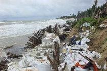 Một đoạn bờ biển Cửa Đại, TP Hội An, Quảng Nam bị sạt lở nghiêm trọng