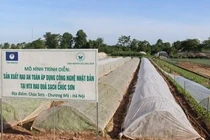 Hợp tác xã Rau quả sạch Chúc Sơn (huyện Chương Mỹ) gặt hái nhiều thành công nhờ chuyển đổi số - Ảnh: VGP/TN