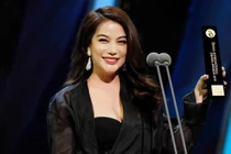 Giải thưởng đã ghi nhận những đóng góp tích cực của Trương Ngọc Ánh trong điện ảnh trong nước, quốc tế.