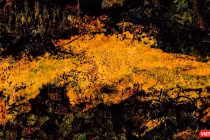 Tranh sơn mài "Hoàng hôn" của Hiền Nguyễn 