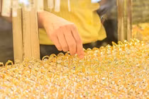 Vàng nhẫn bảo Tín Minh Châu tăng mức niêm yết giá lên tới 1.100.000 đồng/lượng ở cả hai chiều. Ảnh minh họa.