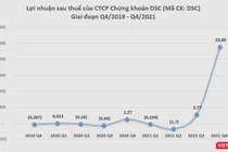 Lợi nhuận sau thuế của DSC trong quý 4/2021 tăng gấp 18,8 lần so với cùng kỳ