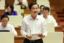 Phó Thủ tướng Lê Minh Khái (Ảnh: VGP)