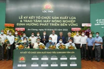 Lộc Trời liên kết sản xuất bao tiêu 2 triệu tấn lúa với nông dân An Giang (Ảnh: LTG)