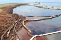 Sự cố tràn dầu. (Nguồn: aljazeera.com)