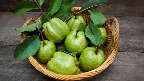 Những quả ổi tươi ngon mang đến nhiều lợi ích cho sức khỏe. Ảnh: Boldsky