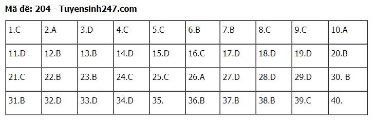 Đáp án tham khảo đề thi tốt nghiệp THPT năm 2020 môn Vật Lý mã đề 204. Nguồn: TTHN