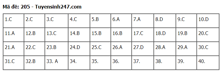 Đáp án tham khảo đề thi tốt nghiệp THPT năm 2020 môn Vật Lý mã đề 205. Nguồn: TTHN