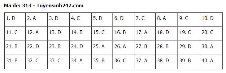 Đáp án tham khảo đề thi tốt nghiệp THPT năm 2020 môn Lịch Sử mã đề 313. Nguồn: TTHN