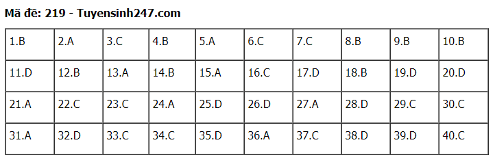 Đáp án tham khảo đề thi tốt nghiệp THPT năm 2020 môn Vật Lý mã đề 219. Nguồn: TTHN