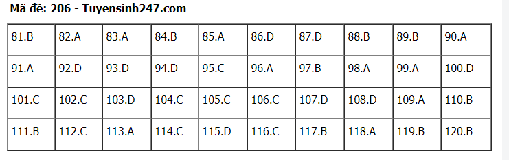 Đáp án tham khảo đề thi tốt nghiệp THPT năm 2020 môn Sinh học mã đề 206. Nguồn: TTHN