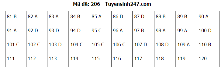 Đáp án tham khảo đề thi tốt nghiệp THPT năm 2020 môn Sinh học mã đề 206. Nguồn: TTHN