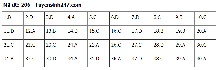 Đáp án tham khảo đề thi tốt nghiệp THPT năm 2020 môn Vật Lý mã đề 206. Nguồn: TTHN