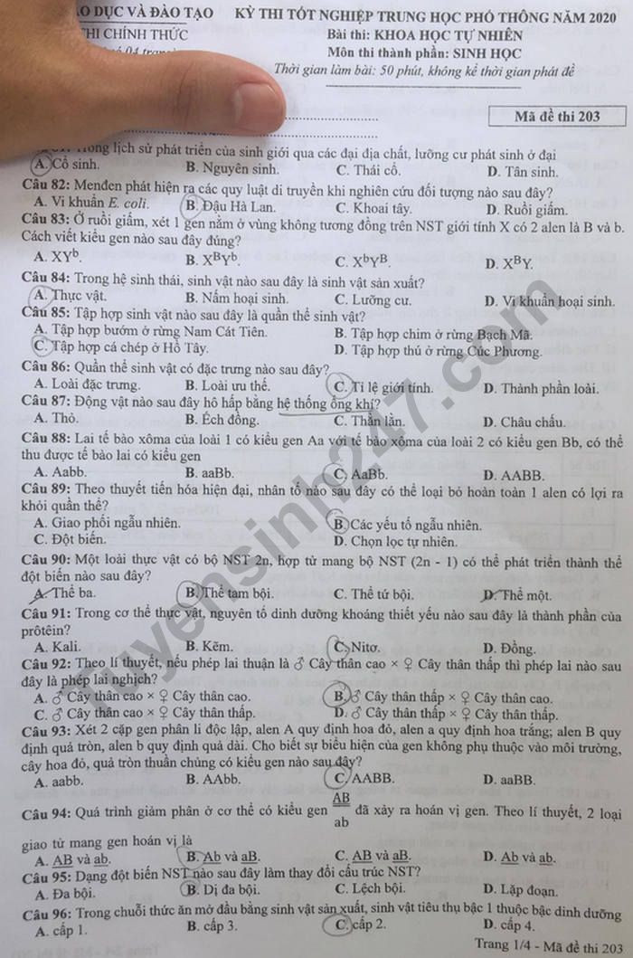 Đề thi tốt nghiệp THPT năm 2020 môn Sinh học mã đề 203. Nguồn: TTHN