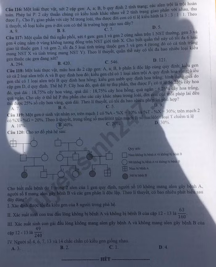 Đề thi tốt nghiệp THPT năm 2020 môn Sinh học mã đề 218. Nguồn: TTHN
