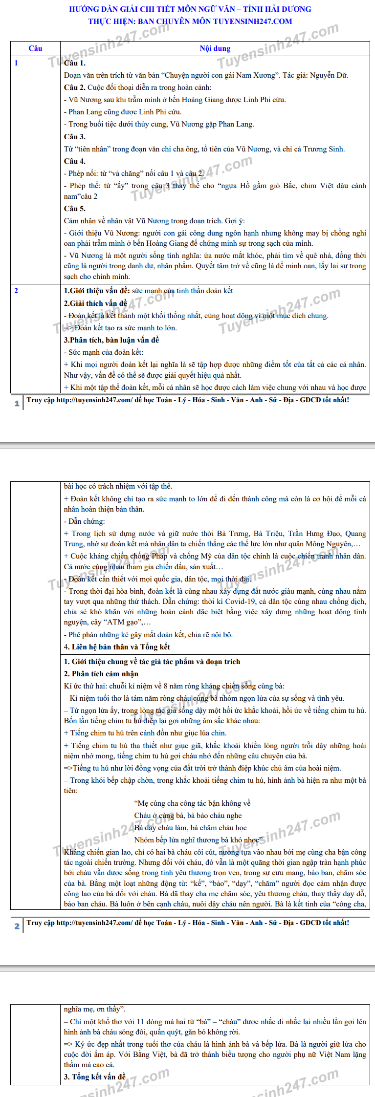 Đáp án tham khảo đề thi tuyển sinh vào lớp 10 môn Văn của tỉnh Hải Dương. Ảnh: TTHN