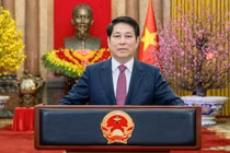 Chủ tịch nước Lương Cường gửi lời chúc Tết tới đồng bào, đồng chí, chiến sĩ cả nước và kiều bào ta ở nước ngoài vào thời khắc Giao thừa thiêng liêng bước sang năm mới Bính Ngọ 2026.