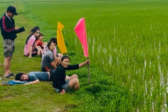 Cuộc thi chạy khắc nghiệt bậc nhất hành tinh ở vùng quê xứ Thanh ngày Tết