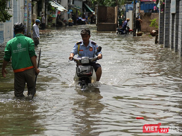 Khi có bão vào hiếm hoi như cơn bão số 9 lần này thì họ càng bận rộn Khi có bão vào hiếm hoi như cơn bão số 9 lần này thì họ càng bận rộn