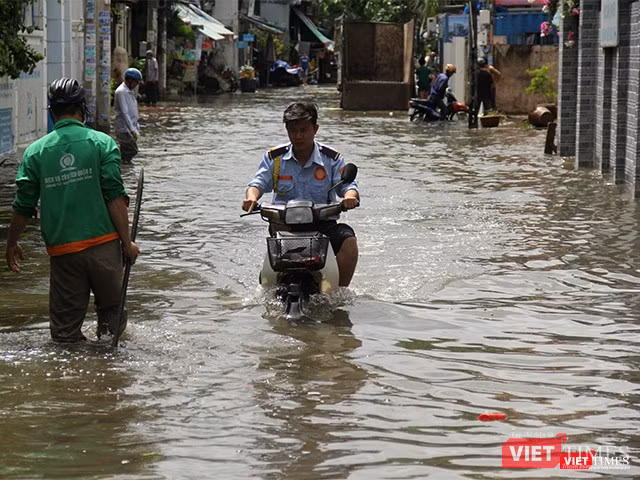 Khi có bão vào hiếm hoi như cơn bão số 9 lần này thì họ càng bận rộn