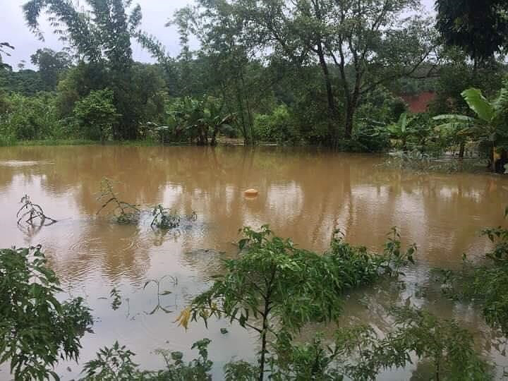 Một quả đồi ở Đắc Nông bị ngập gần tới đỉnh là điều chưa từng xảy ra.