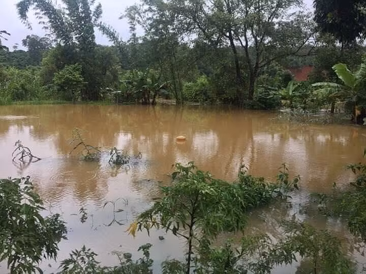 Một quả đồi ở Đắc Nông bị ngập gần tới đỉnh là điều chưa từng xảy ra.