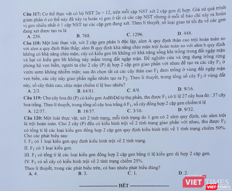 Đề thi chính thức môn Sinh học (mã đề 203) của kỳ thi THPT quốc gia 2019 Đề thi chính thức môn Sinh học của kỳ thi THPT quốc gia 2019