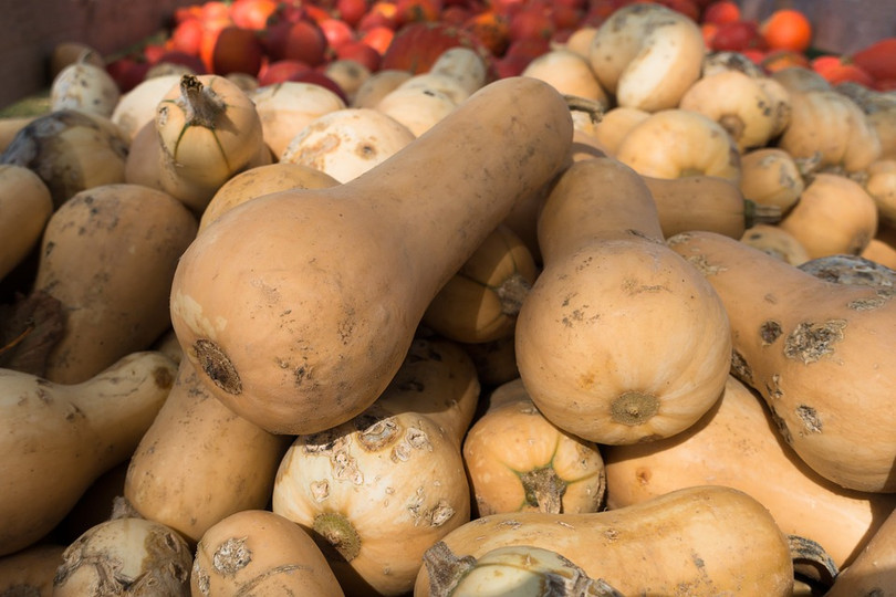 Quả bầu nâu Quả bầu nâu