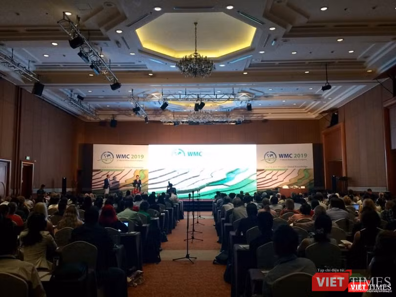 Hội thảo khoa học toàn cầu về bệnh Withmore