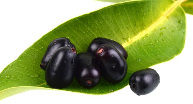 Cây trâm Cây trâm