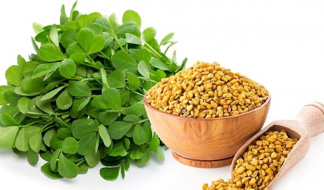 Cỏ cà ri giúp kiểm soát lượng đường trong cơ thể Cỏ cà ri giúp kiểm soát lượng đường trong cơ thể