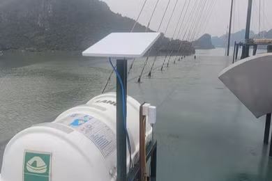 Chủ tàu du lịch bị phạt 70 triệu vì “lén” dùng Starlink phát wifi cho khách