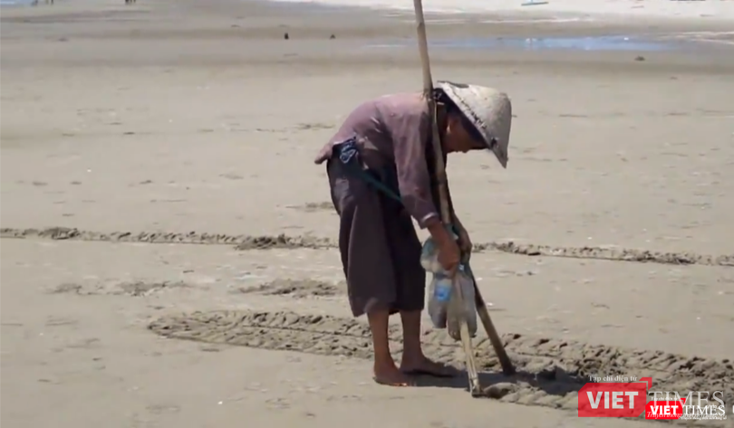 Đôi bàn tay nhanh nhẹn cào rồi nhặt ngao trên biển Cửa Lò.