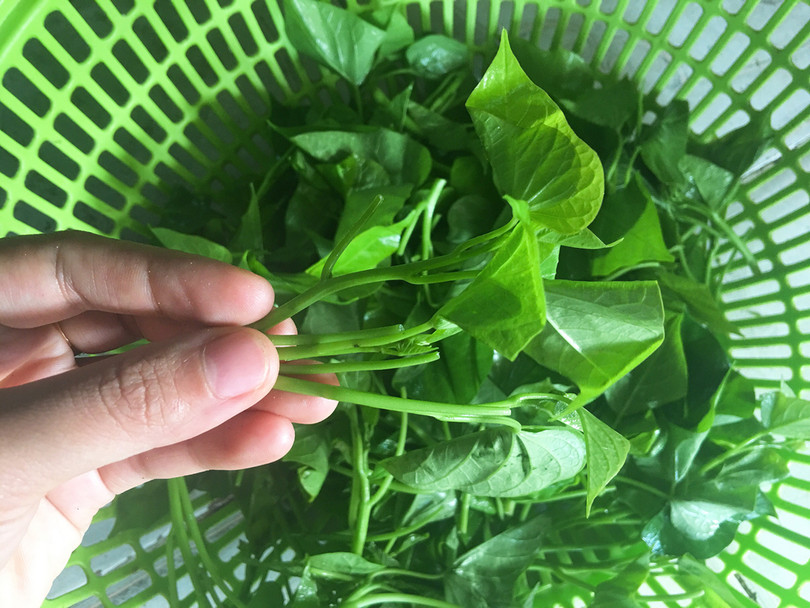 Rau lang được coi là một vị thuốc dân gian.