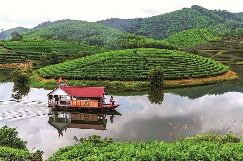 Nằm giữa đập chính là những quả đồi thoai thoải được người dân trồng chè tạo nên giống hình thù của những “con ốc” đang khoe sắc trên mặt nước. Nằm giữa đập chính là những quả đồi thoai thoải được người dân trồng chè tạo nên giống hình thù của những “con ốc” đang khoe sắc trên mặt nước.