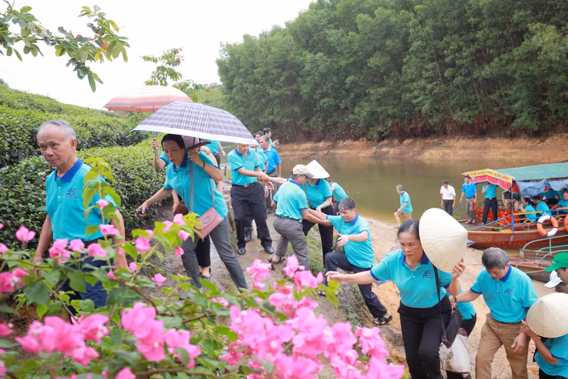 Đảo chè Thanh Chương trở thành điểm đến hấp dẫn nhiều du khách gần xa.