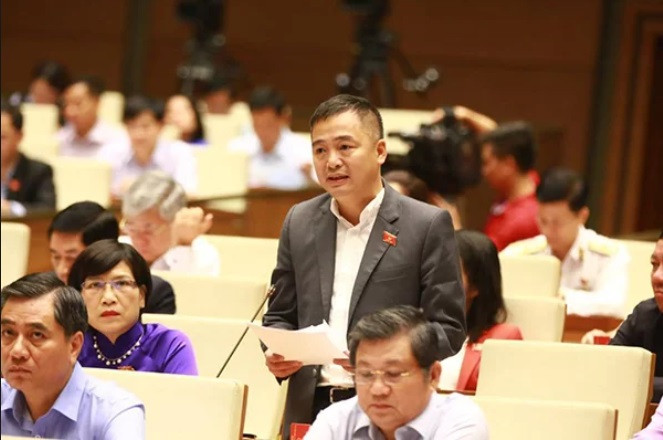 ĐB Nguyễn Lân Hiếu (đoàn An Giang)