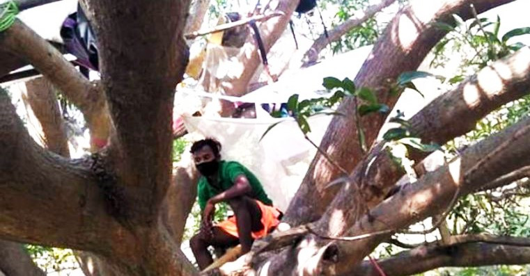 Người dân làng Vangidi, huyện Purulia, bang Tây Bengal, Ấn Độ tự lập các “macha” trên cây để cách ly. Ảnh: Asianet News Network. Người dân làng Vangidi, huyện Purulia, bang Tây Bengal, Ấn Độ tự lập các “macha” trên cây để cách ly. Ảnh: Asianet News Network.