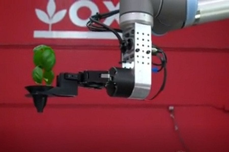 Robot số 2 dưới dạng cánh tay robot, gieo hạt và cấy ghép cây