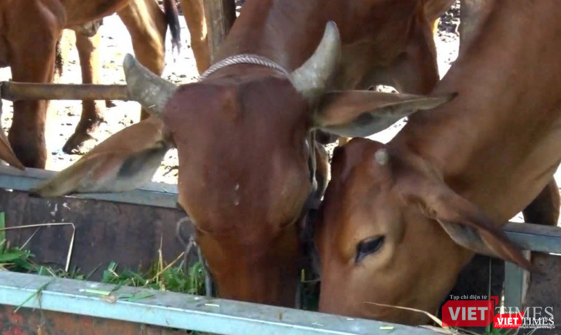 Nhập mô tả ảnh Nhập mô tả ảnh