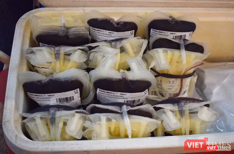 Những đơn vị máu này sẽ được chuyển tới Viện Huyết học - Truyền máu Trung ương để xử lý và phân phối.