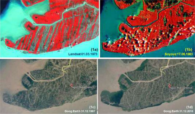 Diễn tiến rừng ngập mặn tại huyện Ngọc Hiển, tỉnh Cà Mau