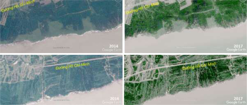 Hai địa điểm minh họa. Khoảng cách tới đường Hồ Chí Minh mỏng đi và độ dày của rừng ngập mặn thưa đi từ năm 2014 đến 2017 dưới tác động của con người và của biển