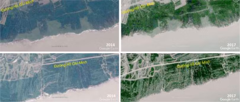 Hai địa điểm minh họa. Khoảng cách tới đường Hồ Chí Minh mỏng đi và độ dày của rừng ngập mặn thưa đi từ năm 2014 đến 2017 dưới tác động của con người và của biển