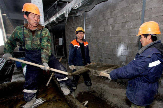 Người Triều Tiên rất cần mẫn, chịu đựng và trách nhiệm.