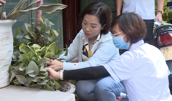 Hoạt động phòng, chống bệnh sốt xuất huyết tại Hà Nội