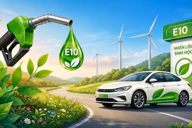 Cẩm nang cần đọc ngay khi sử dụng xăng E10