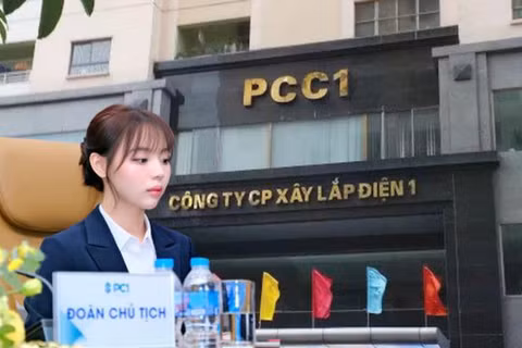PC1 có nữ chủ tịch 27 tuổi, ông lớn hạ tầng CII nói gì về việc tăng sở hữu?